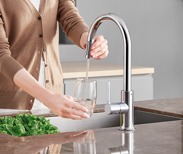 Kitchen Basin and Taps