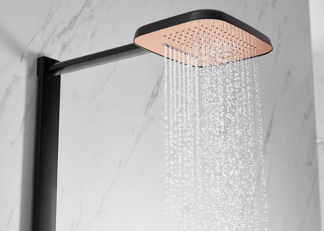 2-function brass rain shower